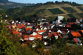 Monzingen